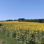 Podere Tresa Holiday home Citta della Pieve