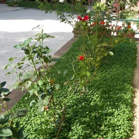 Podere Tresa Сasa de vacaciones *