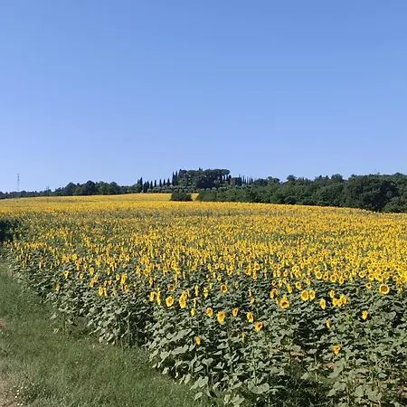 Podere Tresa Дом отдыха Читта-делла-Пьеве