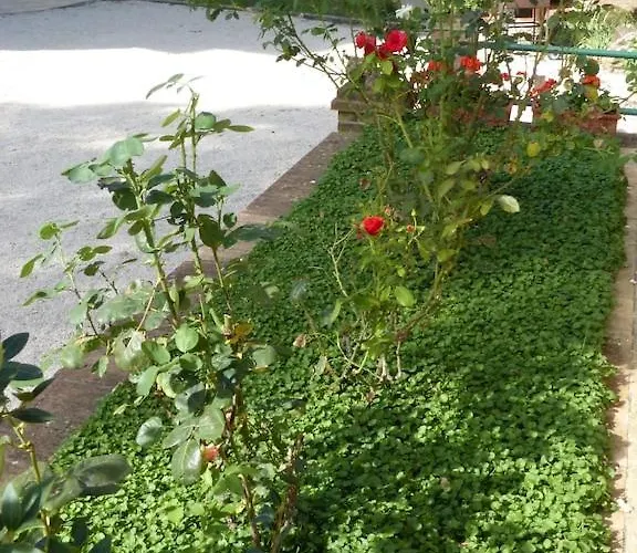 Podere Tresa Vakantiehuis *