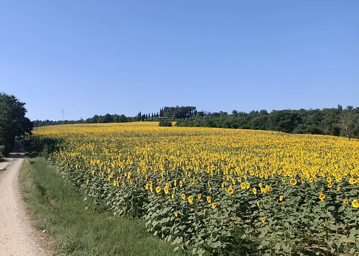 Podere Tresa Vakantiehuis Città della Pieve